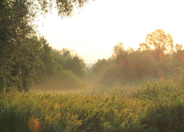 Moorfeld in Bad Tatzmannsdorf im Burgenland