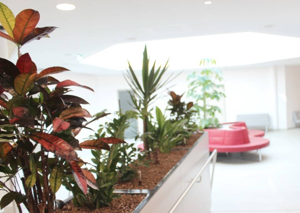 Das REDUCE Kurmittelhaus 