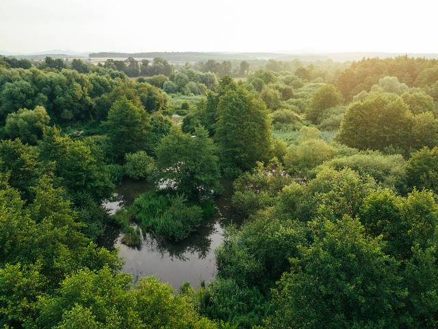 Moorfelder in der Umgebung von Bad Tatzmannsdorf Moorfelder in der Umgebung von Bad Tatzmannsdorf