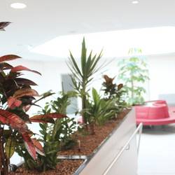 Modernes Kurmittelhaus im REDUCE Bad Tatzmanndorf