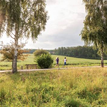 Landschaft in Bad Tatzmanndorf