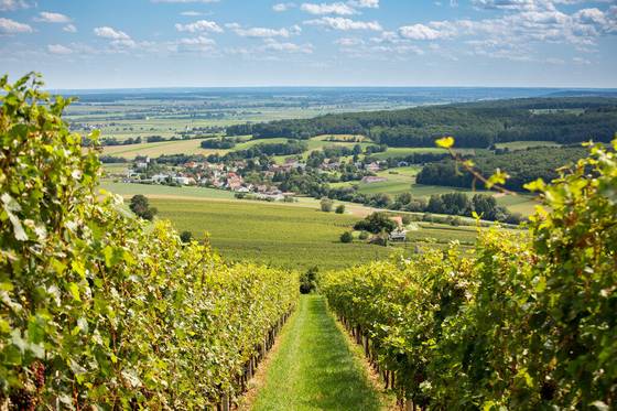 die schönsten Plätze im Burgenland