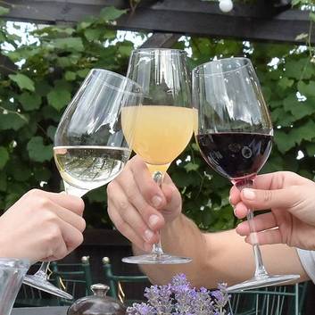 Burgenländischer Wein im Dazumal Freilichtmuseum & Arkadenheuriger