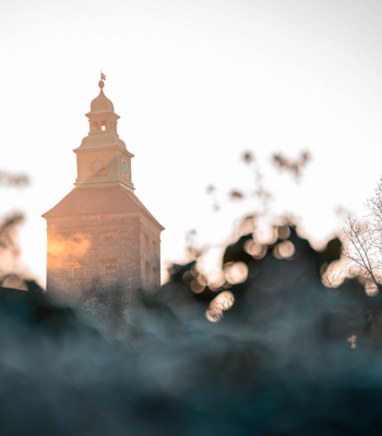 Kirchenturm hinter dem Gras im Burgenland