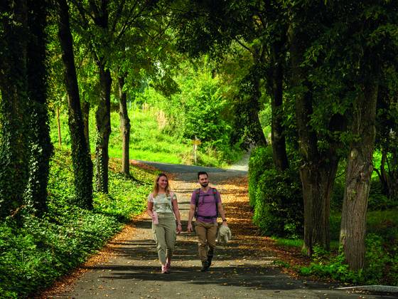Wandern in Bad Tatzmannsdorf