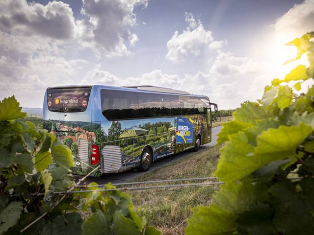 Linienbus im Burgenland