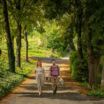 Wanderung rund um Bad Tatzmannsdorf