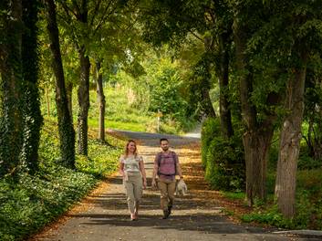 Pärchen wandert durch den Wald im Südburgenland
