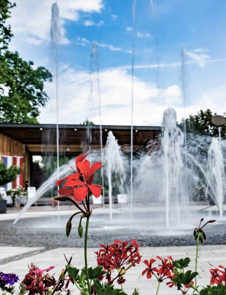 Die Region rund um Bad Tatzmannsdorf