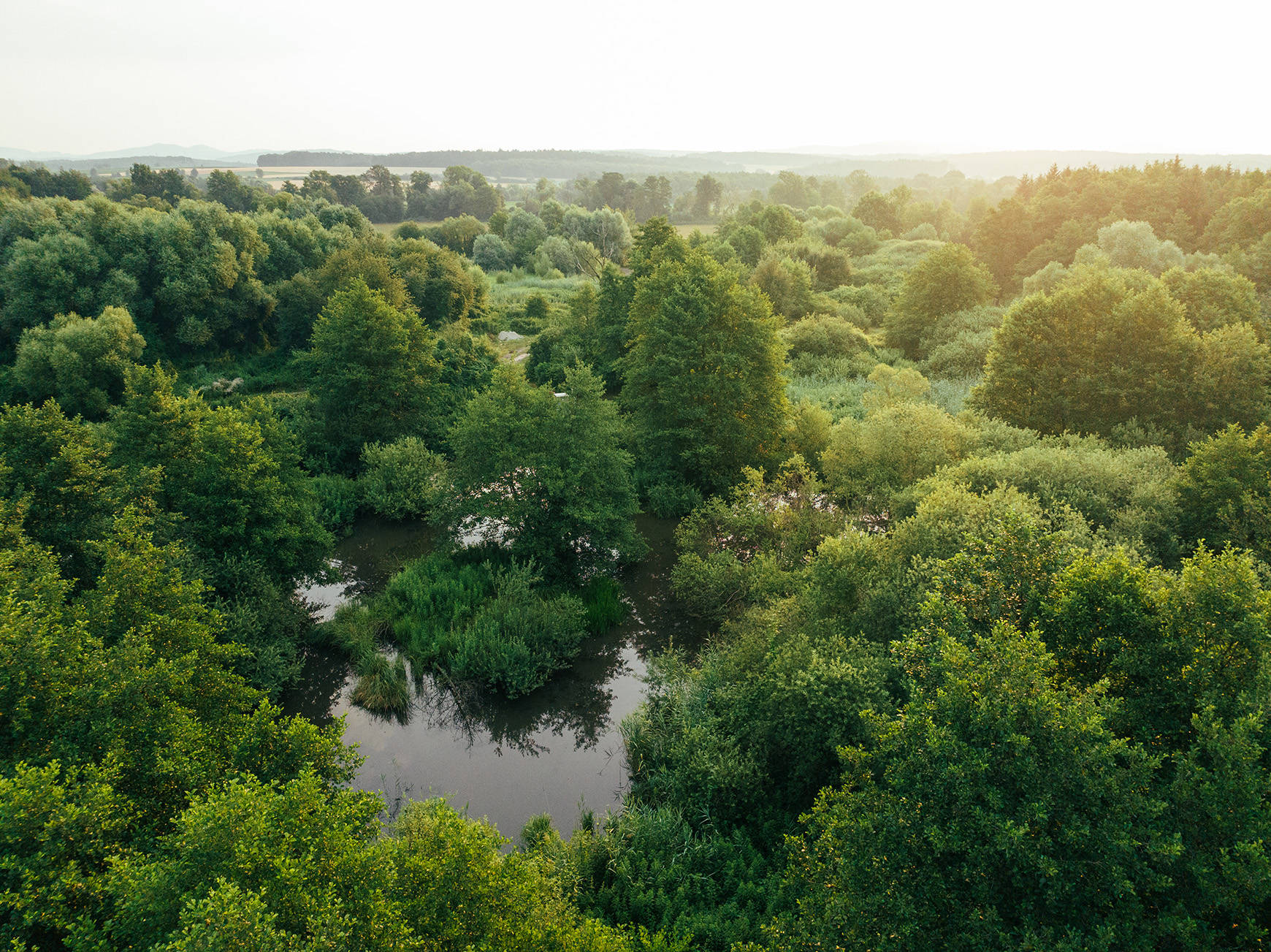 Moorfelder in der Umgebung von Bad Tatzmannsdorf